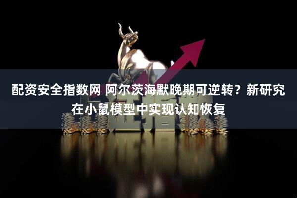 配资安全指数网 阿尔茨海默晚期可逆转？新研究在小鼠模型中实现认知恢复